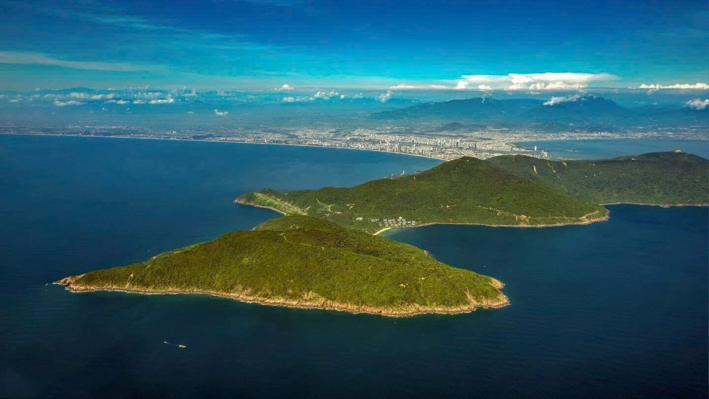 IELTS Success Portrait